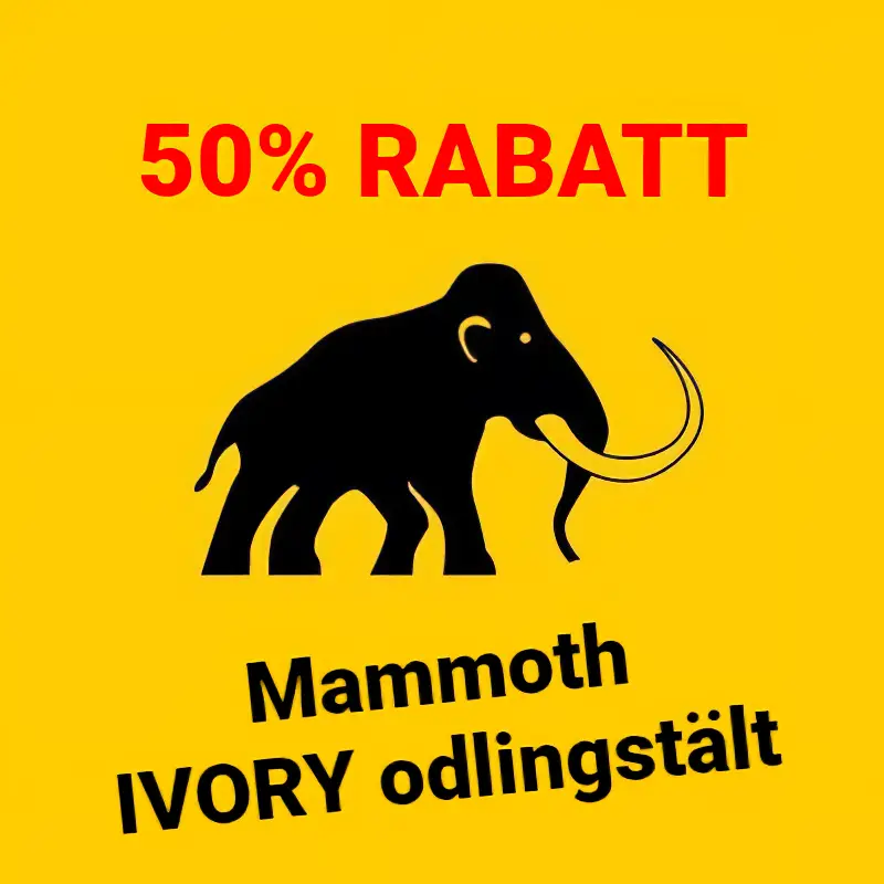 mammoth ivory 50 rabatt