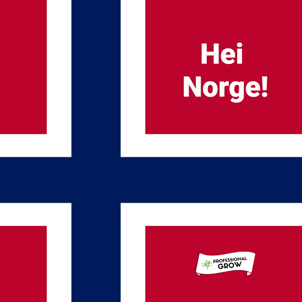 hei norge flag 2