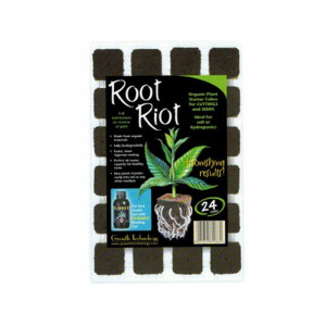 Root Riot 24st