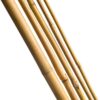 Bambupinnar - ett naturligt växtstöd