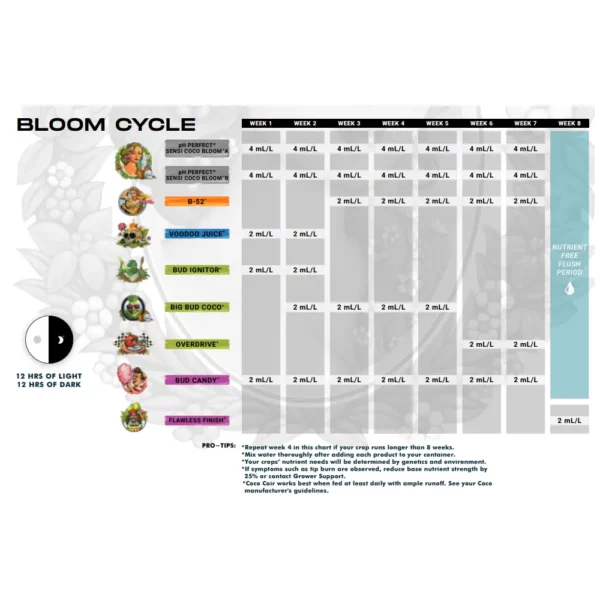 Bloom Cycle Sensi Coco