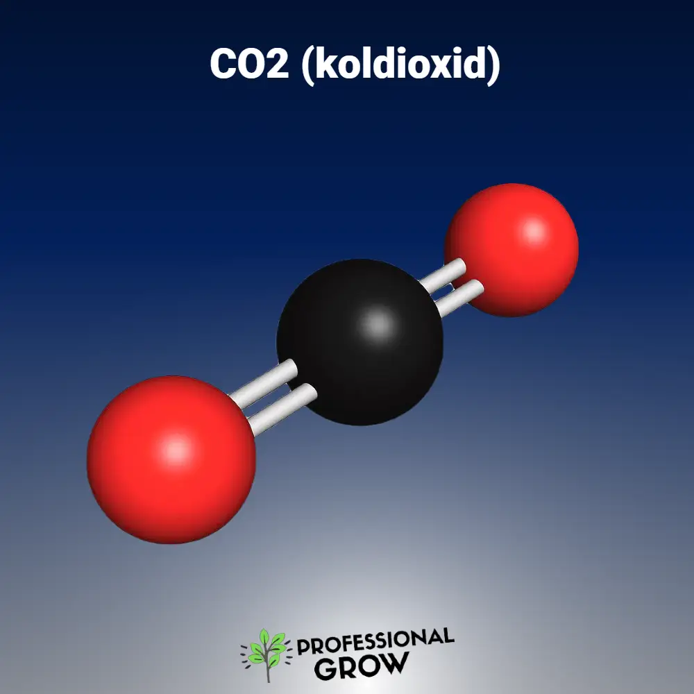 Co2 koldioxid odling